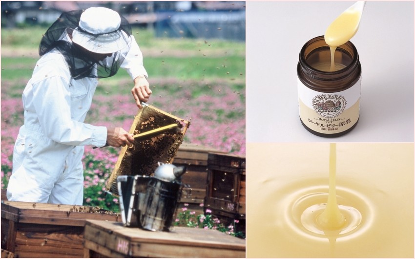山田養蜂場製作蜂王乳的契機是來自於對女兒的愛